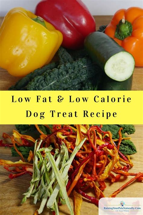 Diy Low Calorie Dog Treats Healthier Homemade Dog Treats From 101