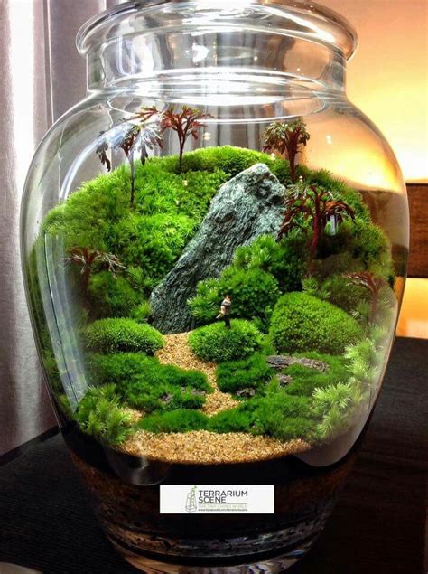 Terrarium Ideas Bring A Miniature Natural Scene In A Glass Container