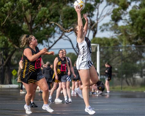 Wildcats Suffer First Loss Cougars Pounce Gippsland Times