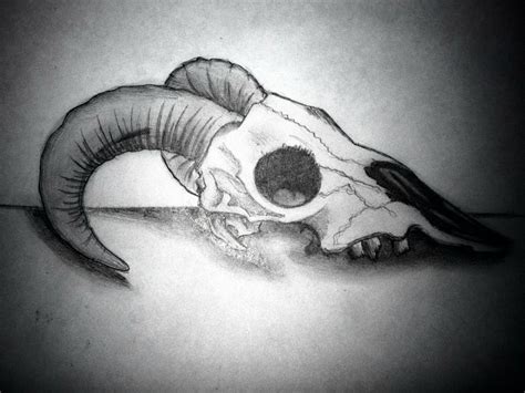 Ram Skull By Aerokay On Deviantart