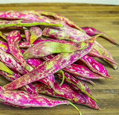 Cranberry beans , also known as borlotti beans, are delicate and creamy in texture with a gorgeous red hue. Meatless Monday - Fresh Cranberry Beans with Olive Oil ...