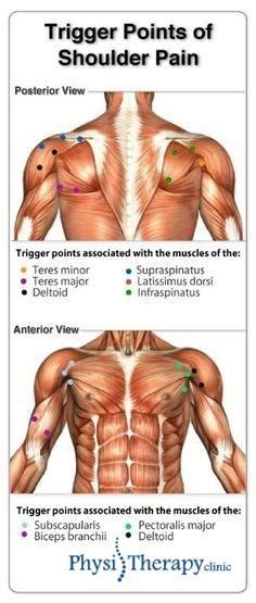 Pin On Trigger Points