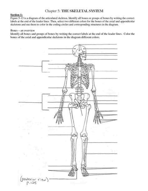 Skeletal System Part 3 Diagram Quizlet