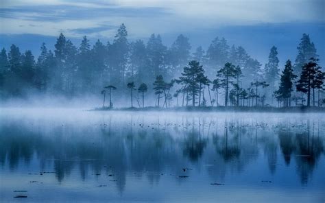 Landscape Nature Lake Mist Trees Sunrise Blue Water Finland