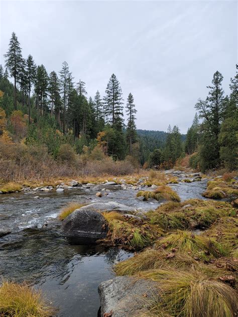 Ice House Campground A California National Forest Located Near South