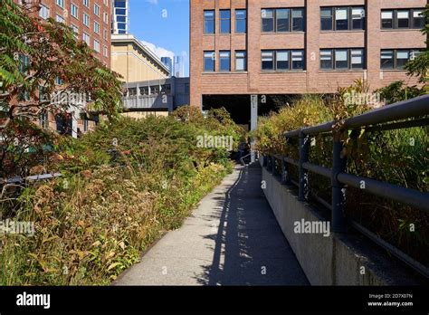 The High Line Park In New York City Stock Photo Alamy