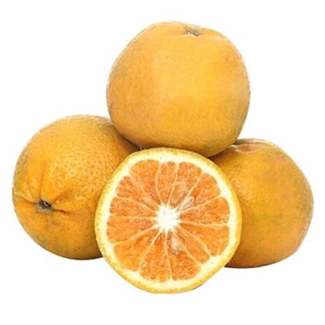 Buy Fresho Orange Kinnow Online At Best Price Of Rs Null Bigbasket