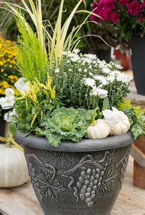 Quickly Create Fall Container Gardens Garden Tips West Coast