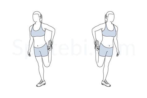 Quad Stretch Exercise Guide With Instructions Demonstration Calories Burned And Muscles Worked