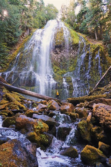 Best Oregon Waterfalls To Visit On Your Pnw Road Trip