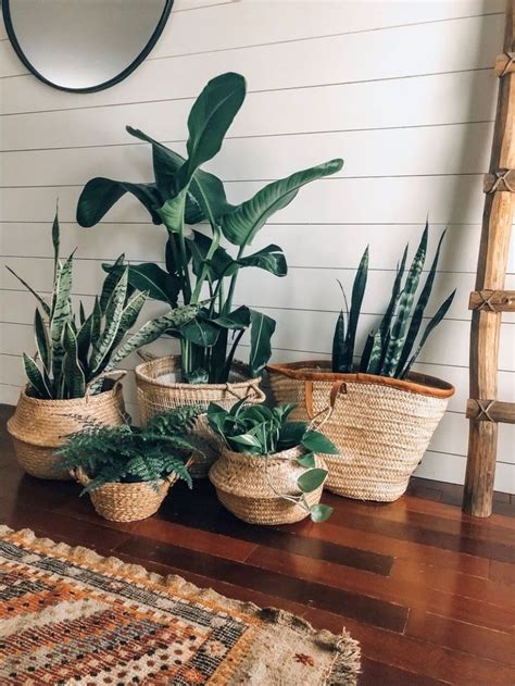 This Is How To Arrange Indoor Plants 6 Fun Ideas Fashion