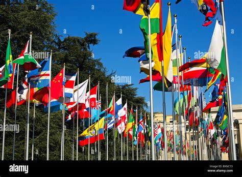 Flags From All Countries Around The World Court Of Flag United Stock