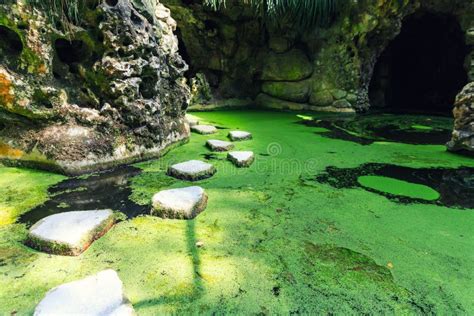 Lake In Caves Stock Photo Image Of Rainforest Green 60934614