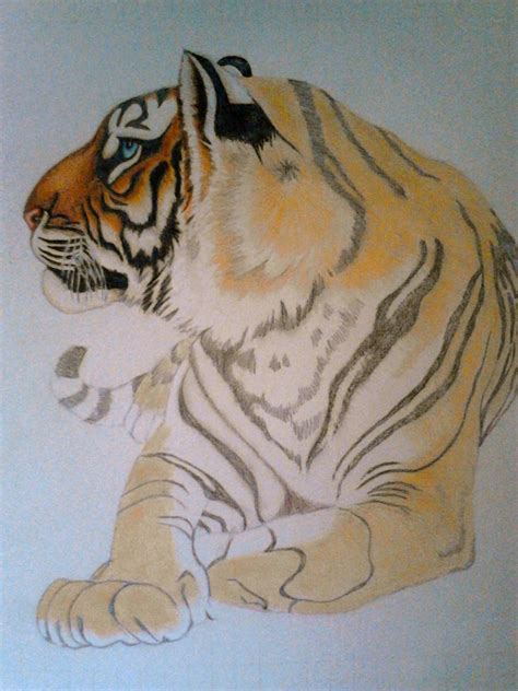 Tigre De Bengala Coloreando Con Caran D´ache Los Dibujos De Roseta