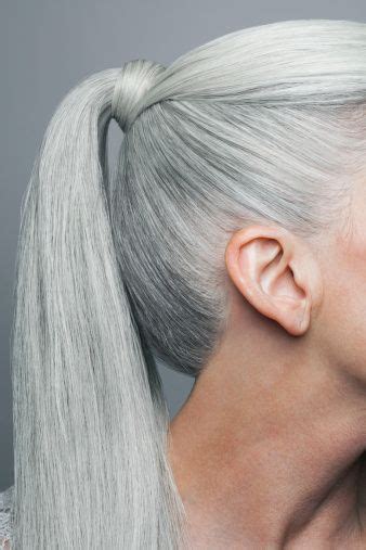 Best 25 Grey Hair Ponytail Ideas On Pinterest White Hair Grey Hair