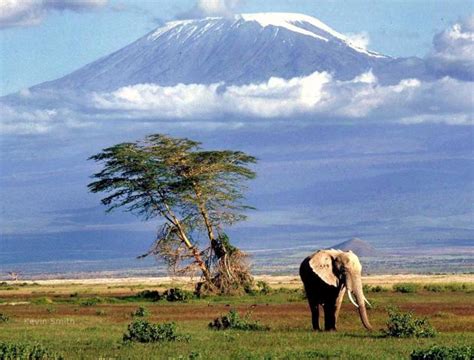 Объединённая респу́блика танза́ния (суахили jamhuri ya muungano wa tanzania tanzaˈni.a, англ. Танзания