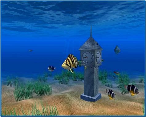 Aquarium Clock 3d Screensaver Download Screensaversbiz