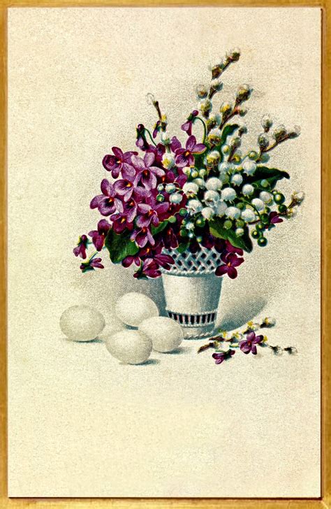 Violet Violets By Hermann Wolff Free Stock Photo - Public Domain Pictures