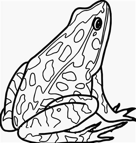 Frog Coloring Pages Clipart And Other Free Printable Sharable Designs