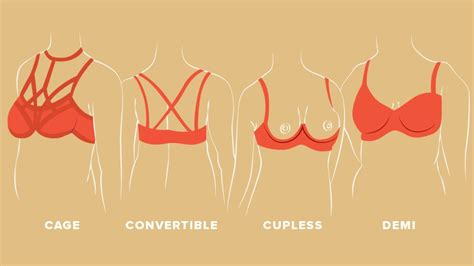 31 Types Of Bras Cups Straps Support Sizing And More Low Back Bra High Neck Bra