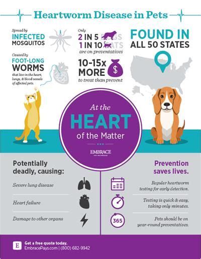 Keeping your furry friend healthy will always be a top priority, but for many pet owners a trip to the vet can be difficult to finance. Heartworm Prevention for Your Pets #pets #heartworm # ...