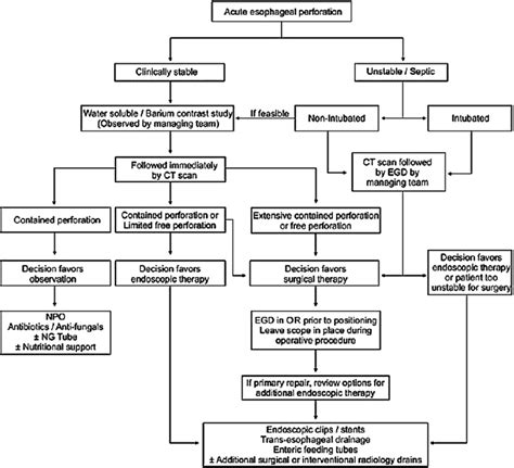 Algorithm For Diagnosis And Management Of Acute Esophageal Perforation
