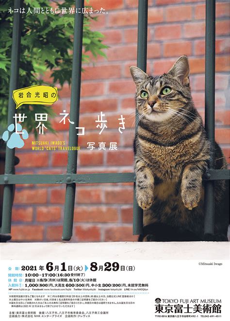 Mitsuaki Iwagos World Cats Travelogue Exhibition Tokyo Fuji Art