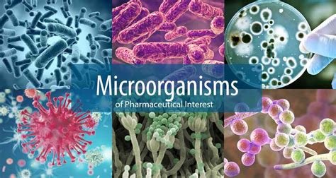 Microorganisms Of Pharmaceutical Interest