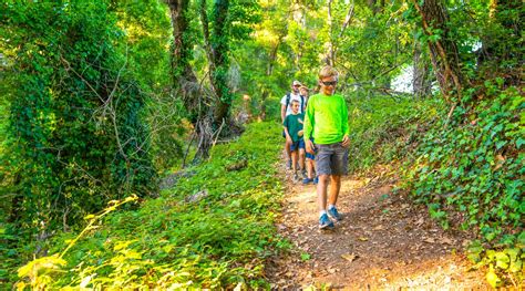 Outdoor Adventure Kennolyn Santa Cruz Mountains Overnight Camp