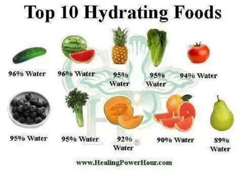 Those Are Healty Foods That Help You Stay Hydrated Your Body Is Made