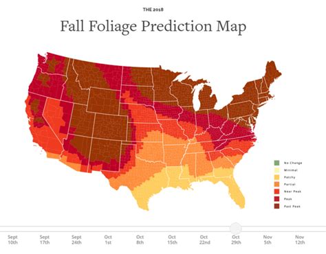 Youll Be Happy To Hear That Missouris Fall Foliage Is