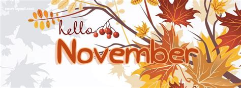 Hello November We Are Looking Forward To A Great Month Toll Free 844