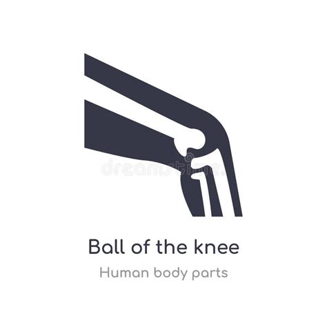 Ball Of The Knee Outline Icon Isolated Line Vector Illustration From