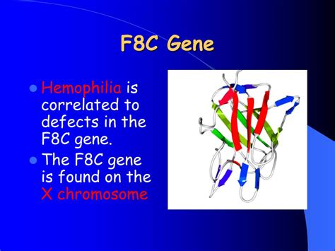 People who have severe hemophilia have spontaneous bleeding into the joints and muscles. PPT - Hemophilia PowerPoint Presentation, free download ...