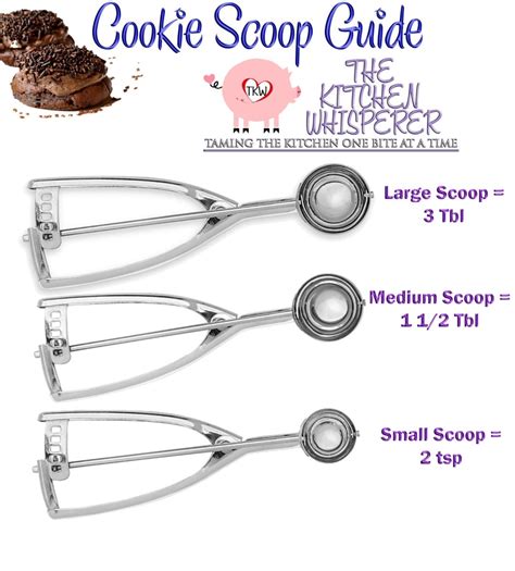 Cookie Scoop Sizes Agrivol