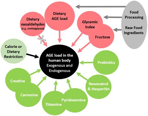 Foods Free Full Text How Can Diet Affect The Accumulation Of Advanced Glycation End Products