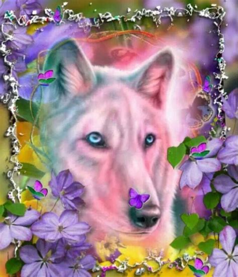 ♡rainbow Wolf Wolf Images Wolf Love Wolf