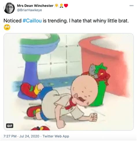 Why Does Everyone Hate Caillou Because He Sucks