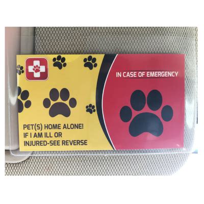 Maybe you would like to learn more about one of these? Our Pet Card - emergency pet care cards for cats and dogs | Cheap pet insurance, Pet care, Cat ...