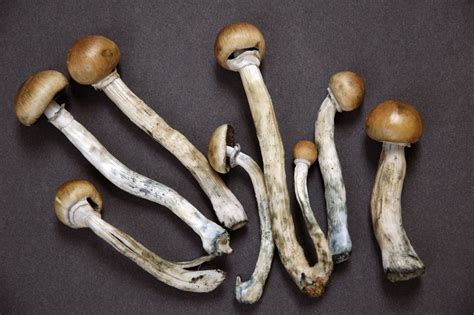 The Fascinating Strange Medical Potential Of Psychedelic Drugs