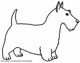 Terrier Breed sketch template