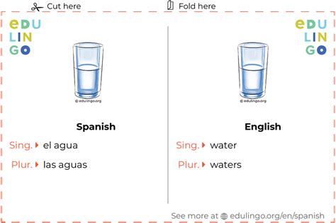 Water In Spanish • Writing And Pronunciation With Pictures