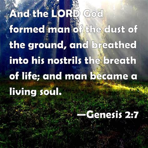 Genesis 27 And The Lord God Formed Man Of The Dust Of The Ground And