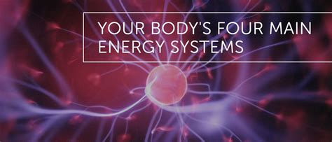Your Bodys Four Main Energy Systems · Dr Alex