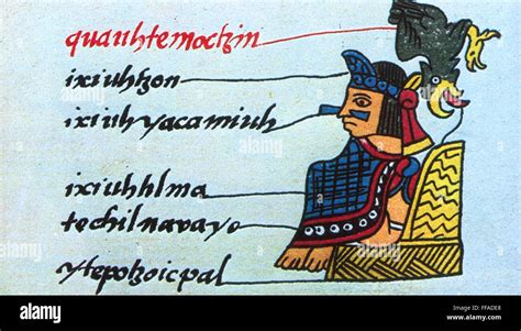 cuauhtemoc 1495 1525 nademás conocido como guatemotzin o guatemoc Último emperador azteca