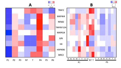 Gene Expression Of Selected Genes In Tweak Fn14 Signalling Pathway In Download Scientific