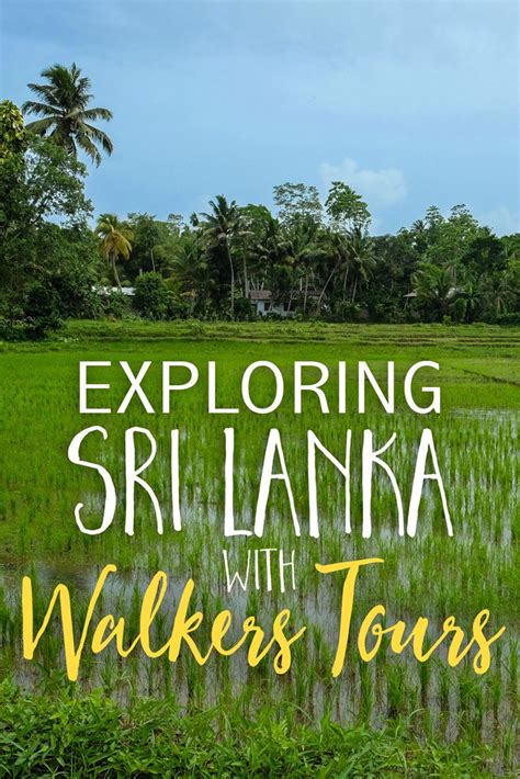 Exploring Sri Lanka With Walkers Tours • The Blonde Abroad