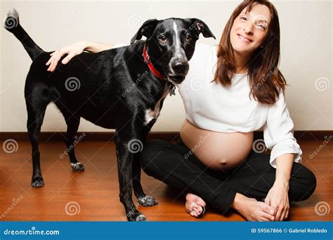 Pregnant Girl Dog Telegraph