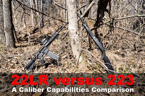 22lr Vs 223 Ballistics And Common Uses Compared