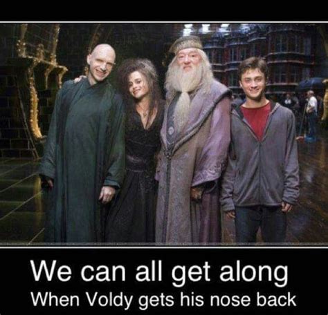 30 Hilarious Harry Potter Memes That Will Make You Laugh Uncontrollably